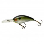 Воблер Bomber lures Fat Free Shad BD6F #DTS